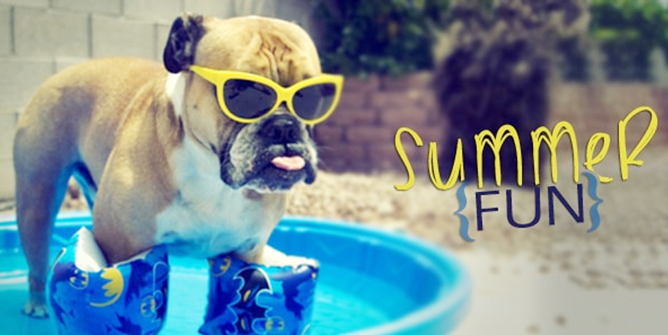 Pack your summer with FUN